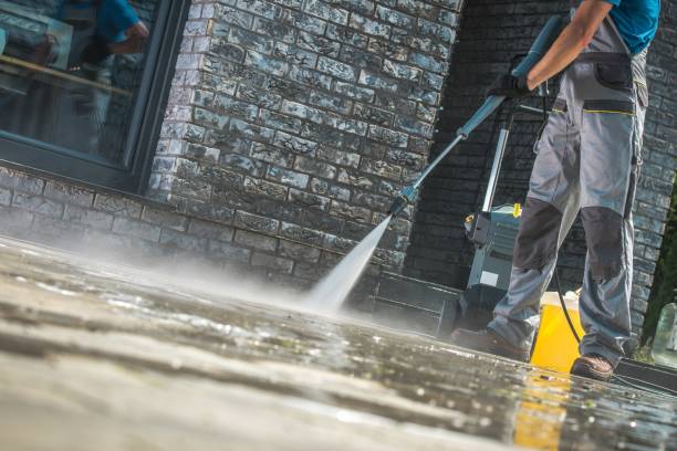 Best Pre-Holiday Cleaning  in Richmond, MI