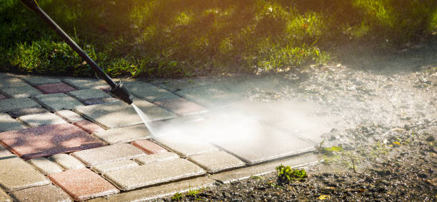 Best Warehouse Cleaning  in Richmond, MI