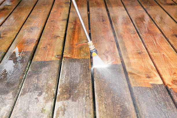Best Animal Enclosure Cleaning  in Richmond, MI
